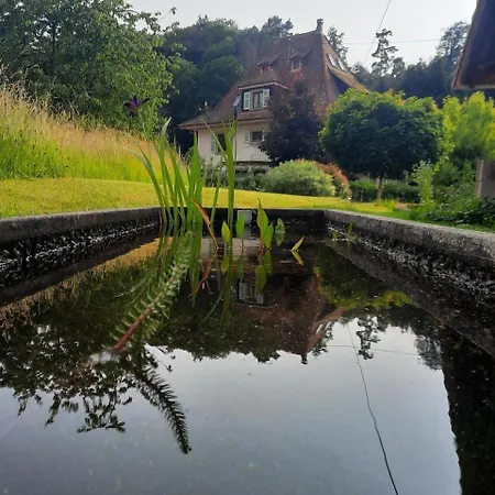 Jardin Et Vue Montagne